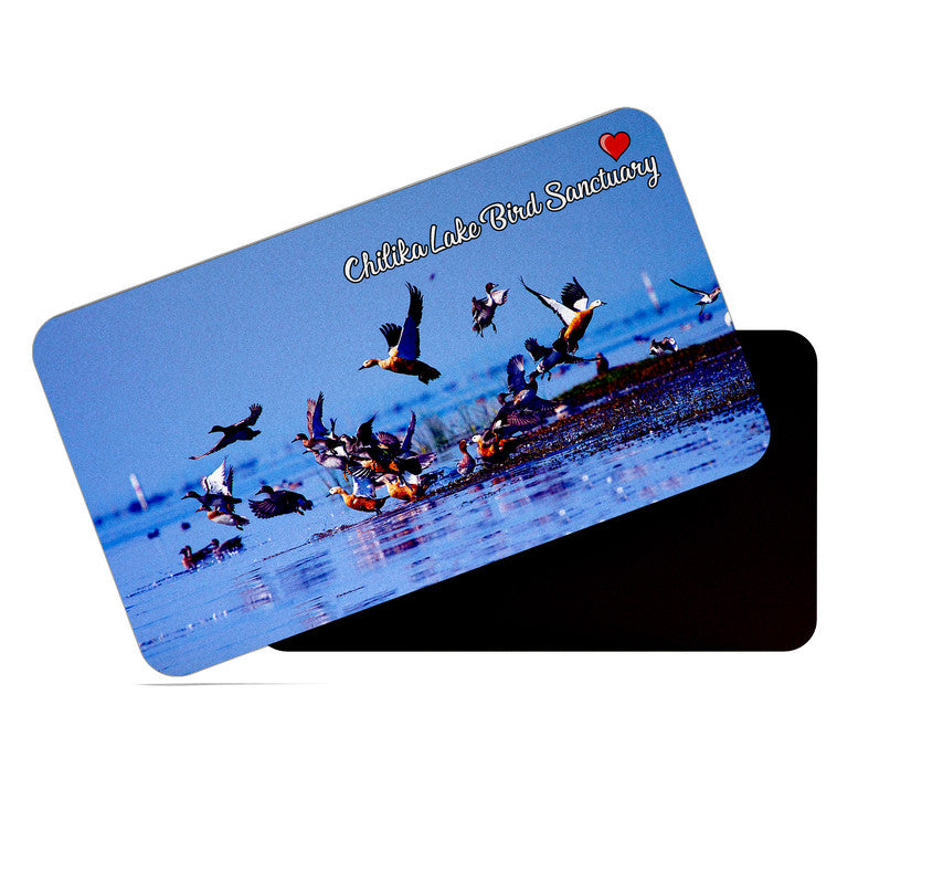 dhcrafts Rectangular Rubber Fridge Magnet / Magnetic Card Multicolor Odisha Chilka Bird Sanctuary Design Pack of 1 (8.6cm x 5.4cm)